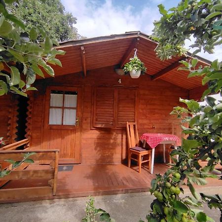 Harmonia-Lak Vendeghaz Villa Praid Exterior foto